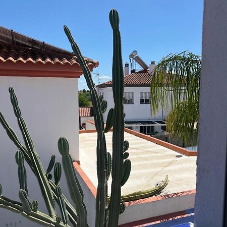 梅里那德奥拉菲Mex公寓 外观 照片